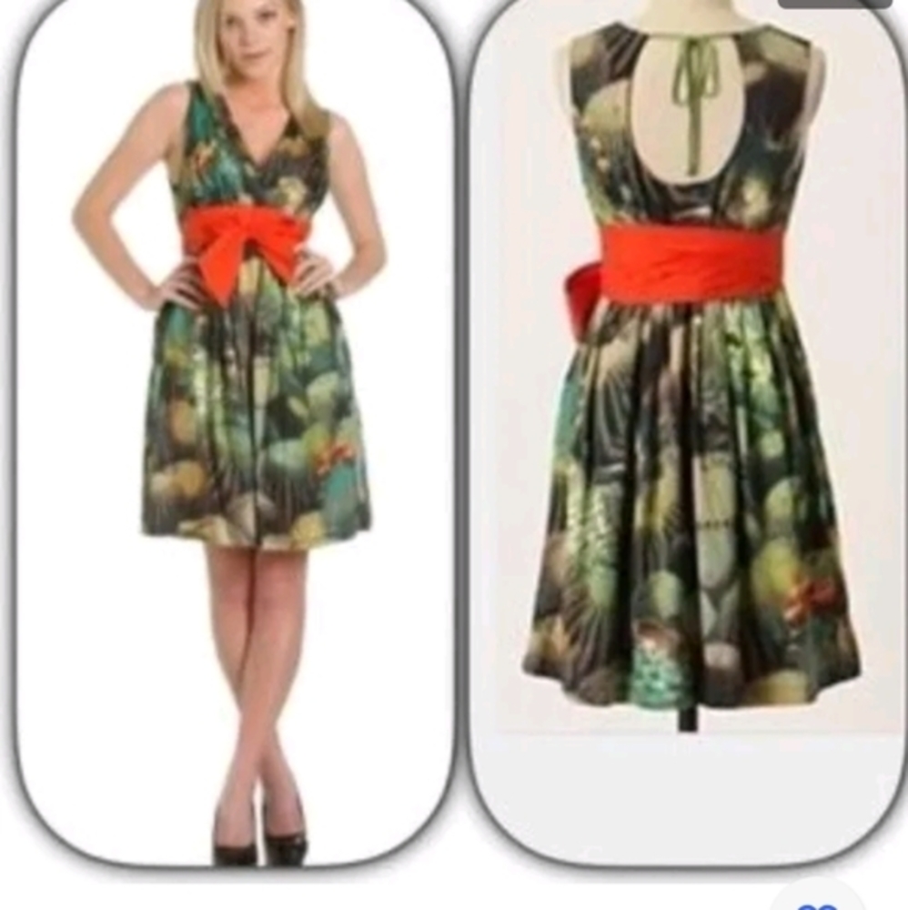 NWOT Anthropologie Eva Franco Oroyo Cactus Dress Size 4